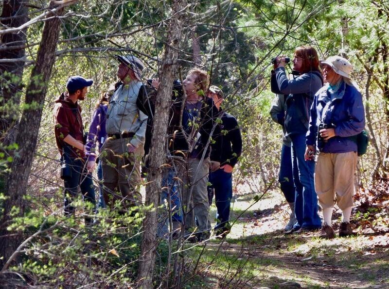 Bird Walk in Kingston